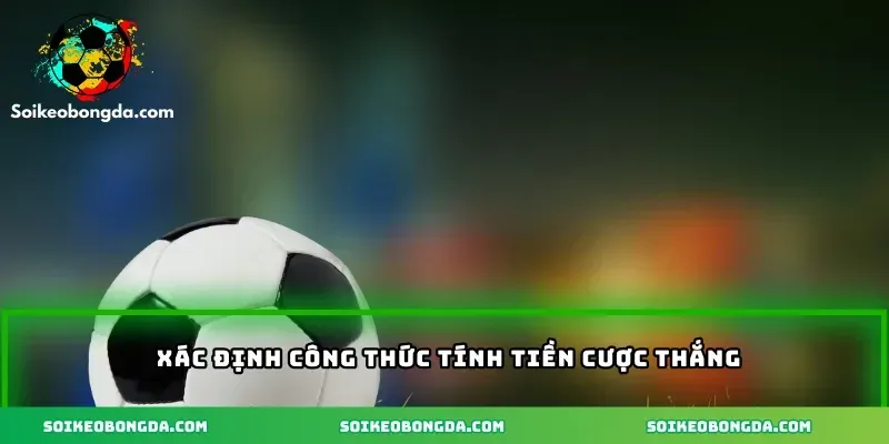 3-xac-dinh-cong-thuc-tinh-tien-cuoc-thang