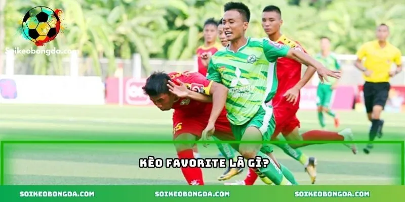 Khái niệm kèo favorite dễ hiểu
