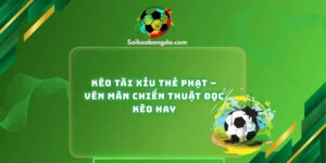 keo-tai-xiu-the-phat-ven-man-chien-thuat-doc-keo