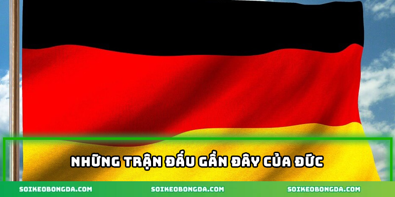 Nhận Định Bóng Đá Đức – Xu Hướng Thắng Kèo Nổi Bật Tuần Này 1 Nhận Định Bóng Đá Đức – Xu Hướng Thắng Kèo Tuần Này