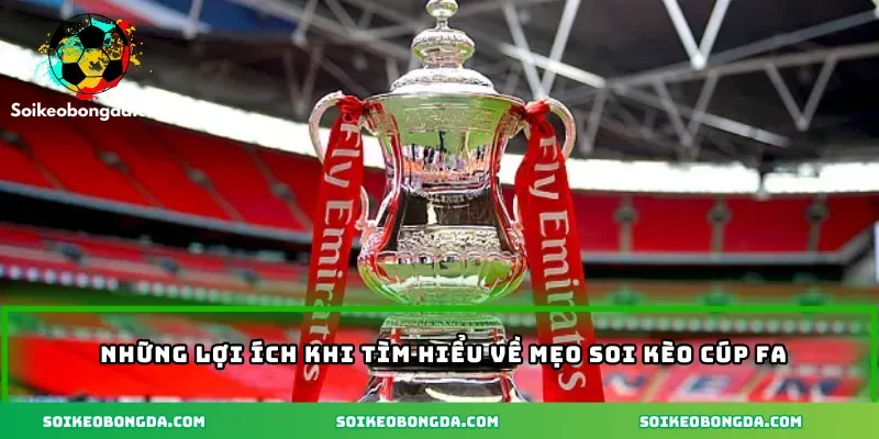 nhung-loi-ich-khi-tom-hieu-ve-meo-soi-keo-cup-fa