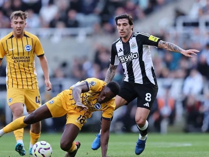 soi-keo-brighton-vs-newcastle-21h-18-10-3